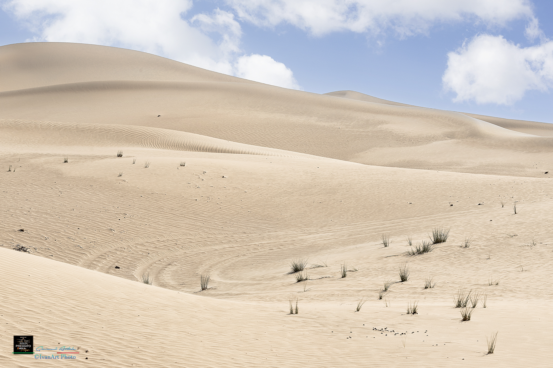 ABU DHABI - RUB'AL KHALI DESERT -