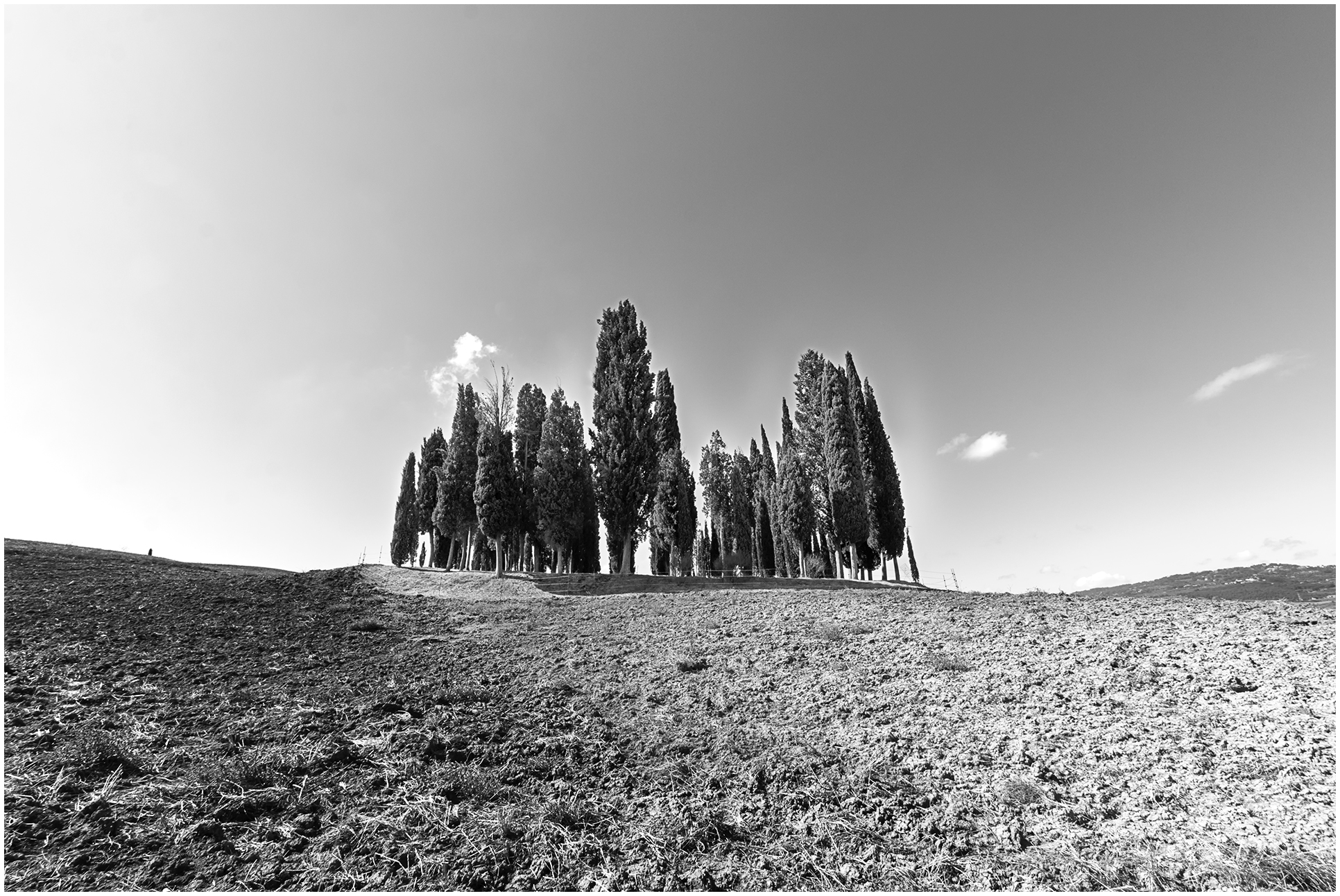 Bosco dei cipressi-Val d'Orcia