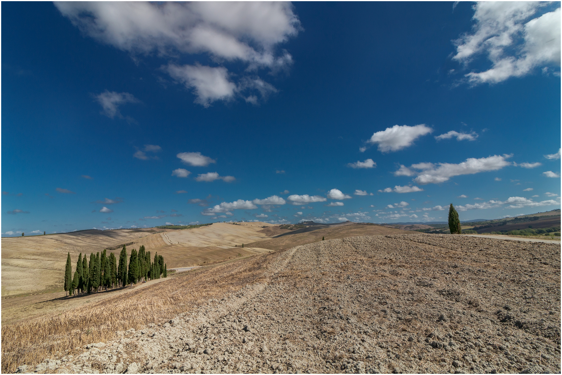 Bosco dei cipressi 2-Val d'Orcia