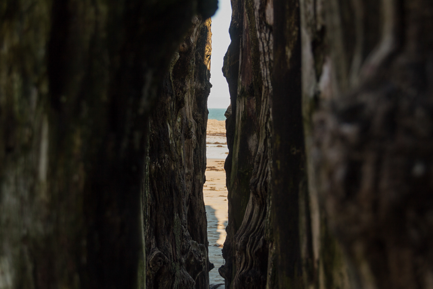 Glimpse