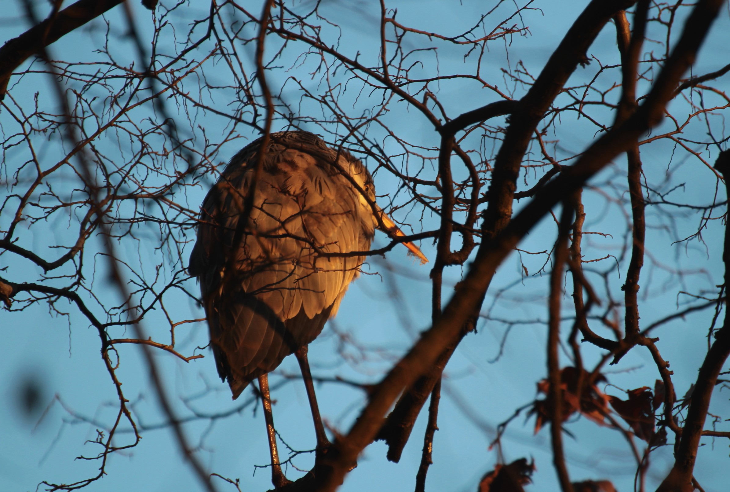 Prepararsi per dormire