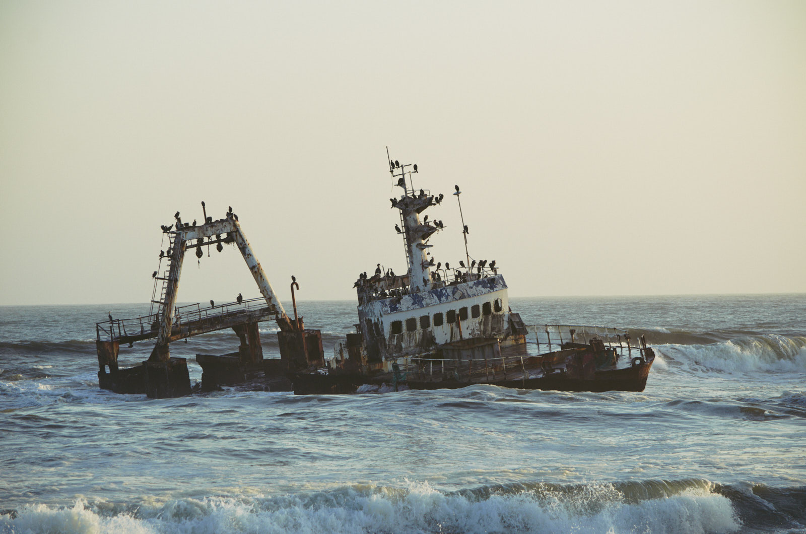 Swakopmund Sheep wreck