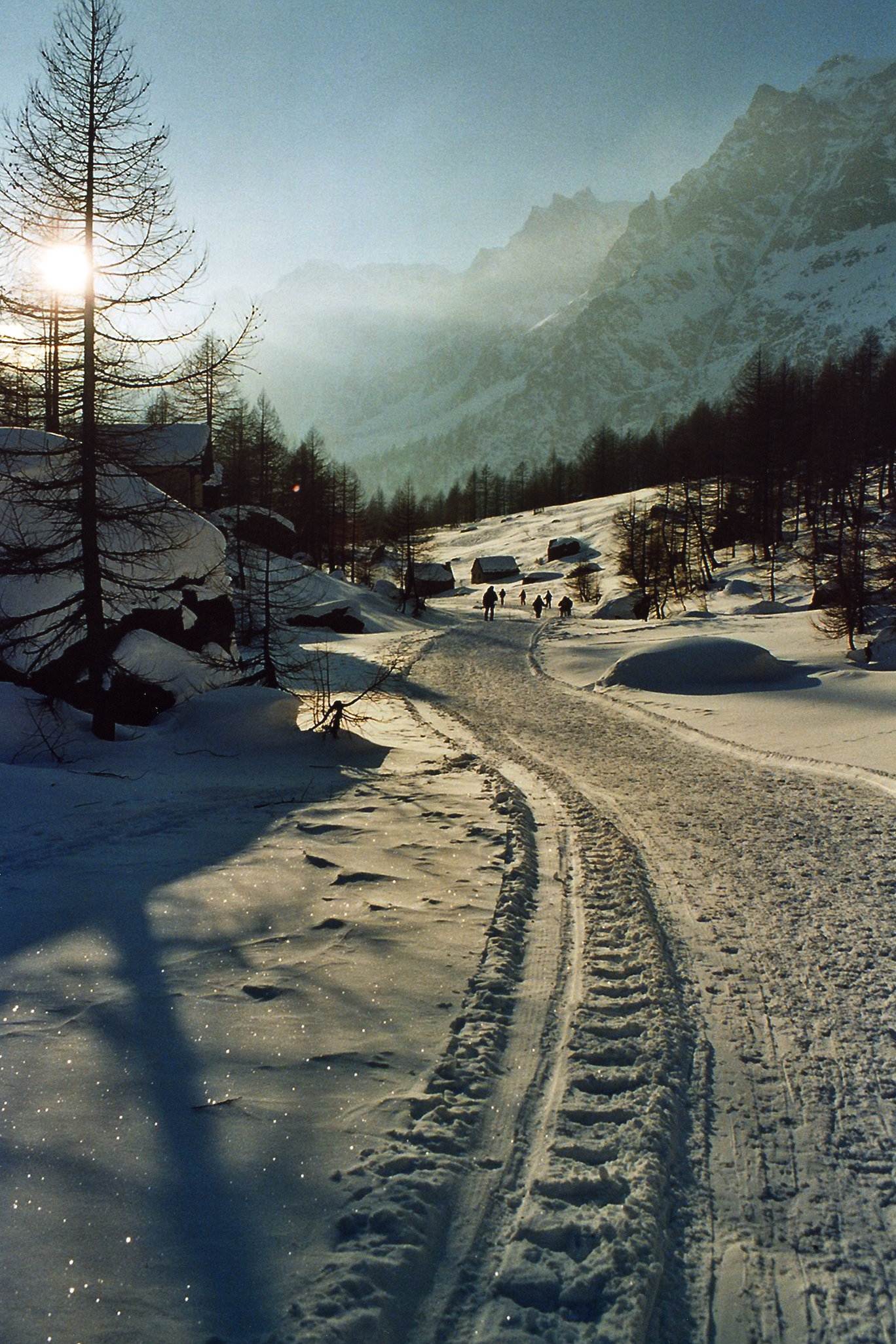 Early bird snowshoeing