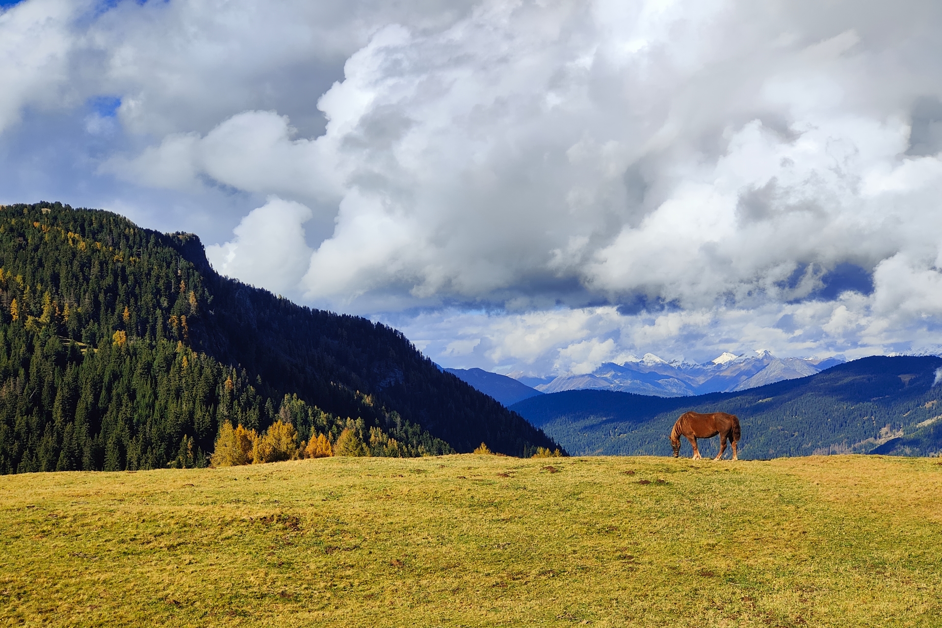Alpe di Siusi.