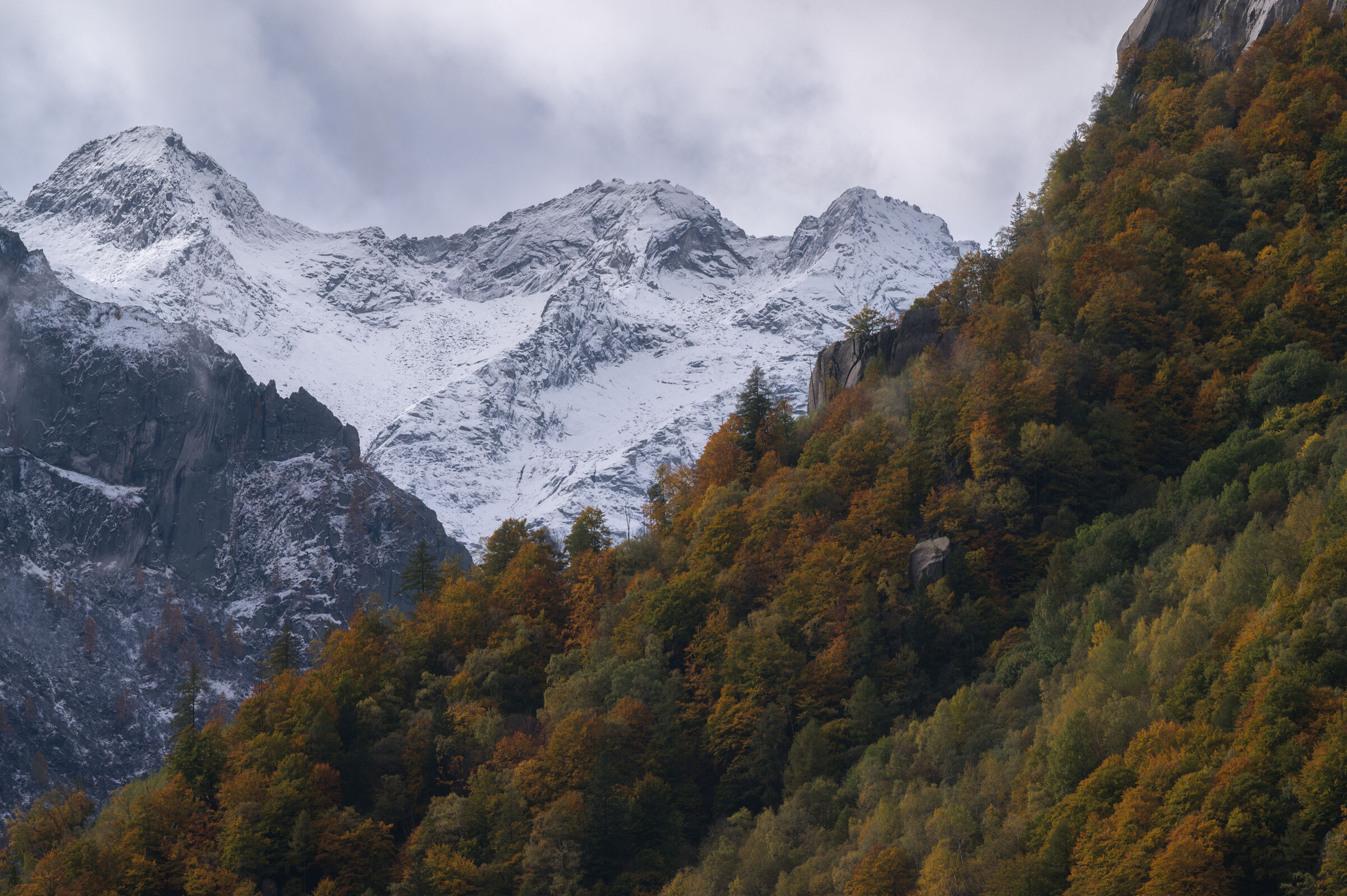 Incontro tra stagioni