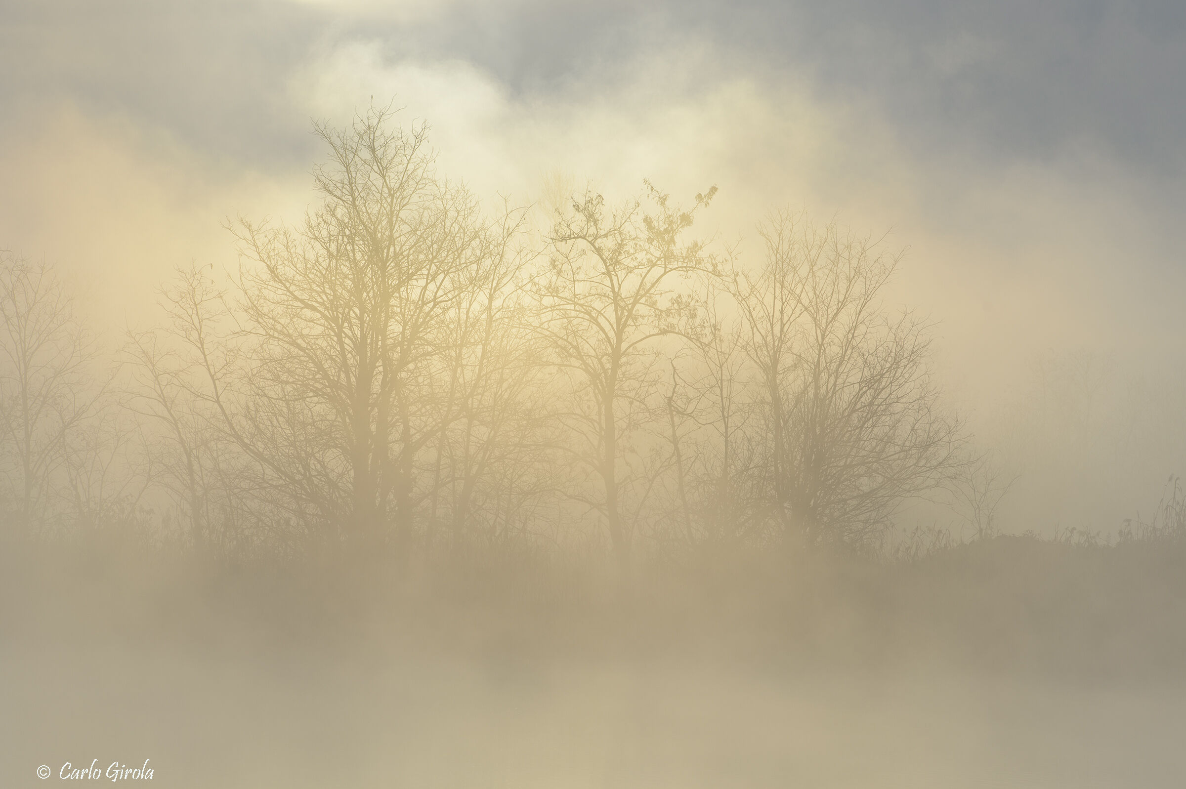 Dietro la nebbia il sole