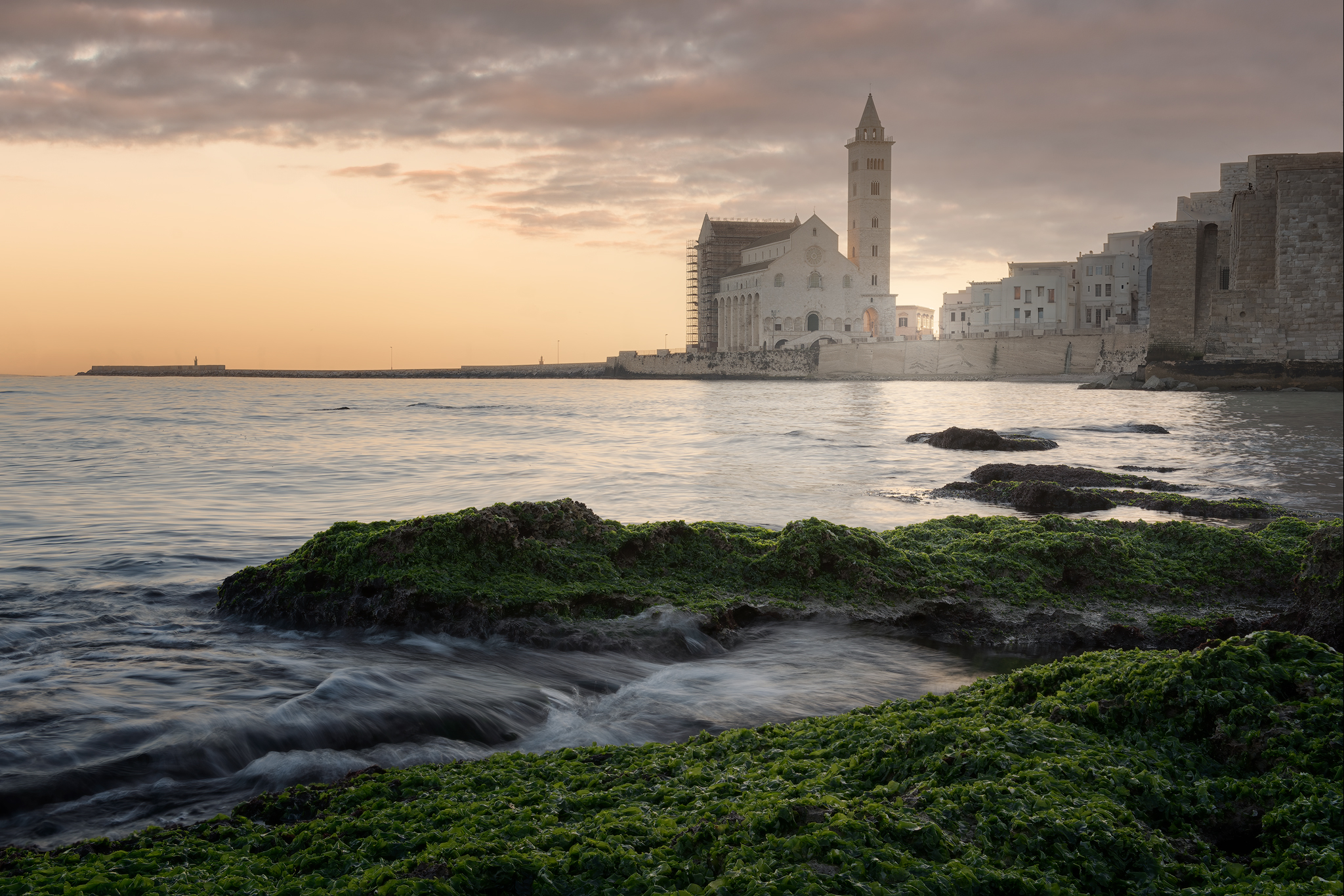trani
