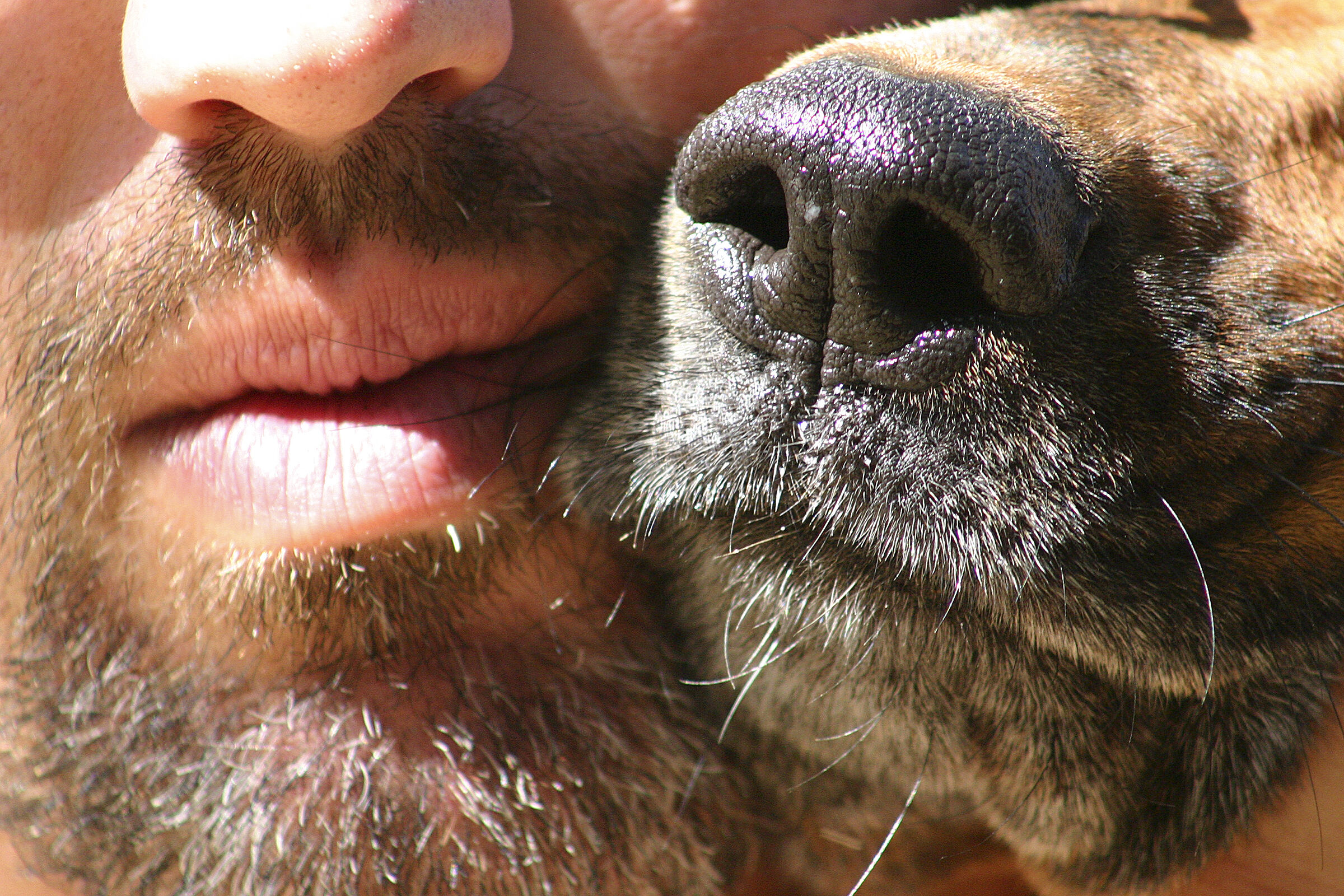 Growing old together.