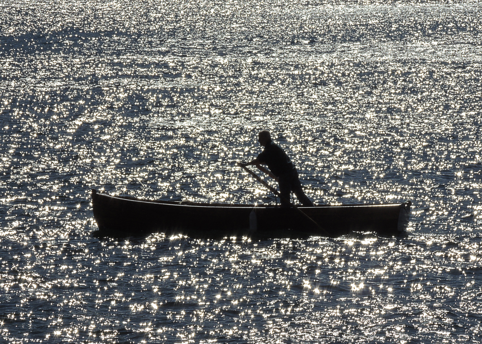 Navigare in un mare di stelle...