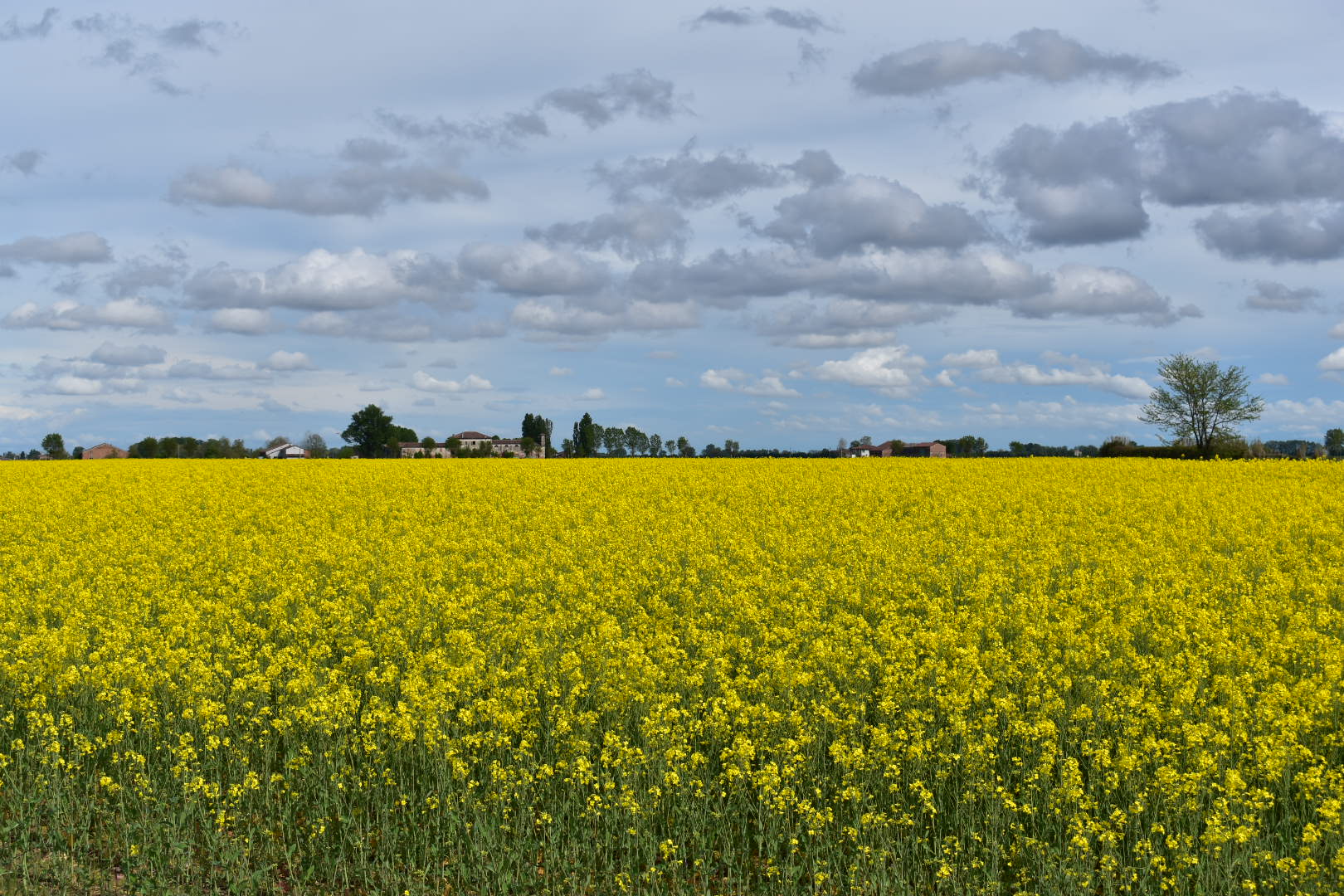 Veronese countryside