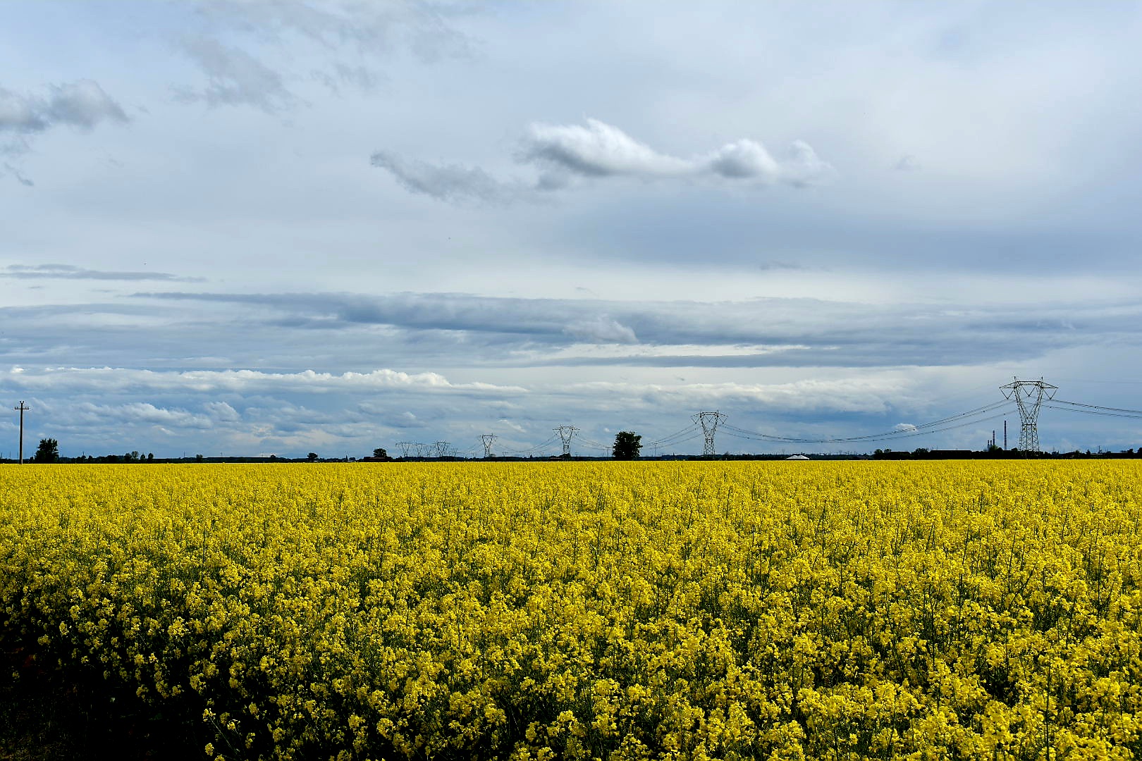 Veronese countryside