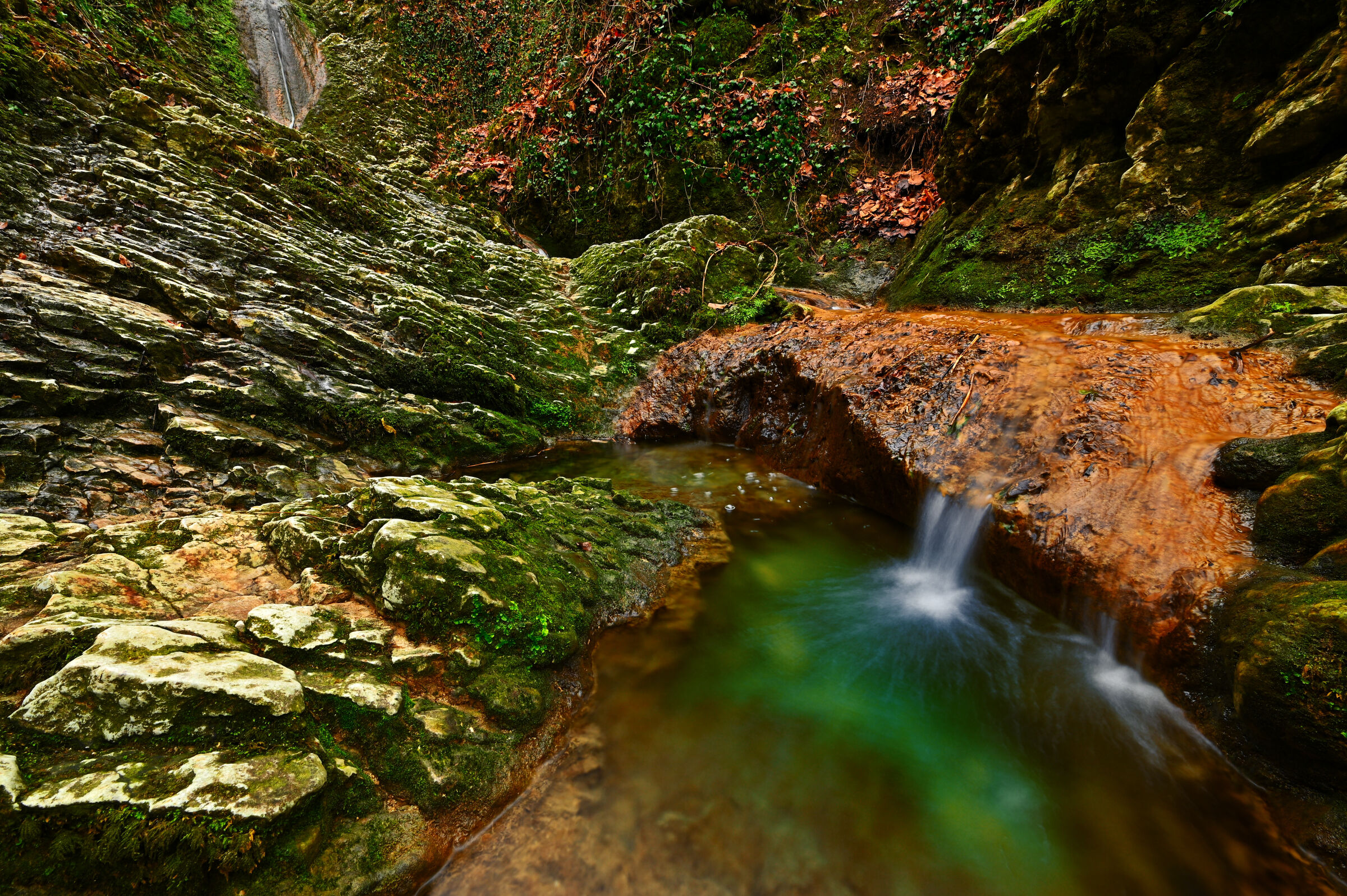 Fiumiciattolo in un giorno nuvoloso