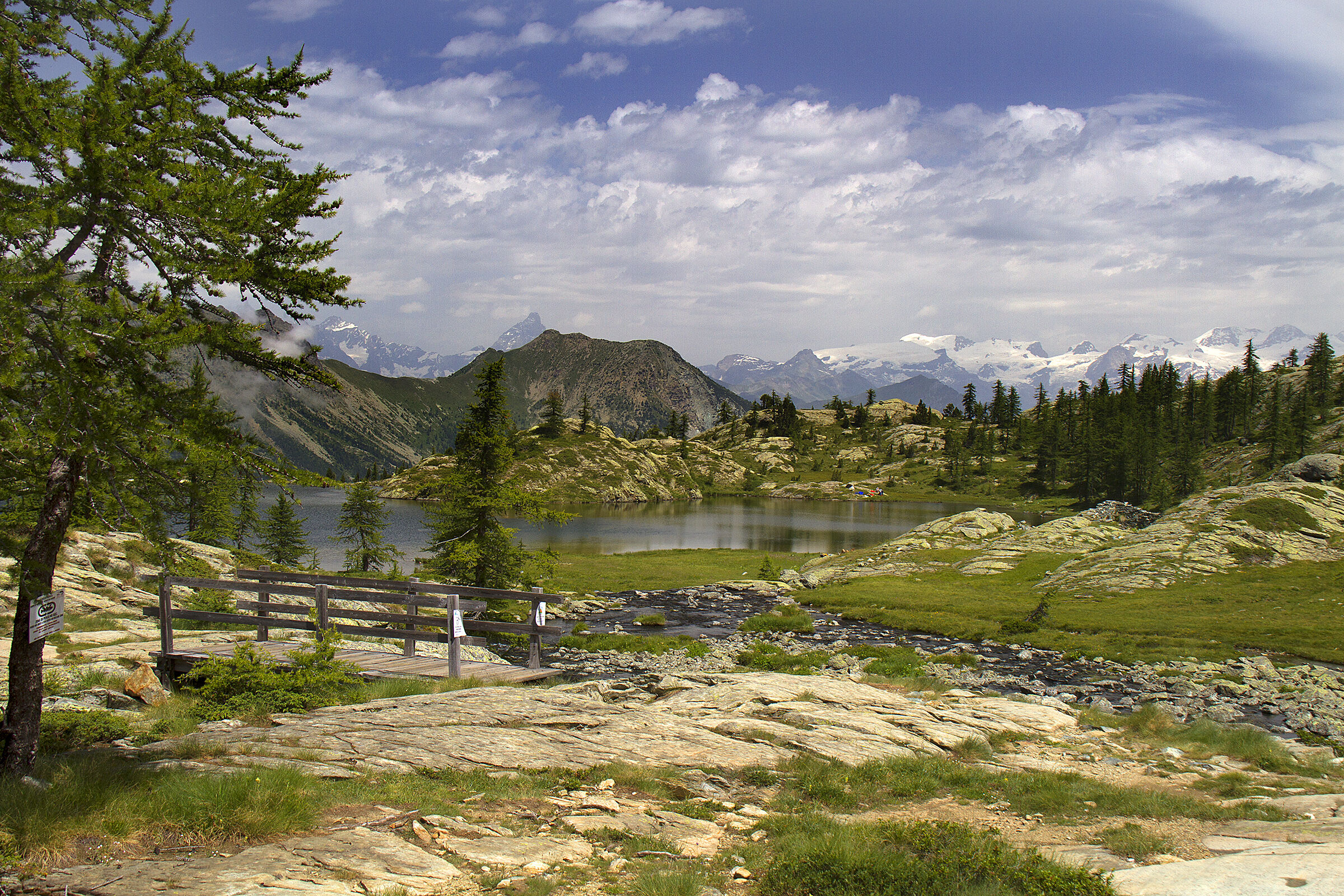 Matterhorn and Monte Rosa by L. Bianco - Mont Avic Park