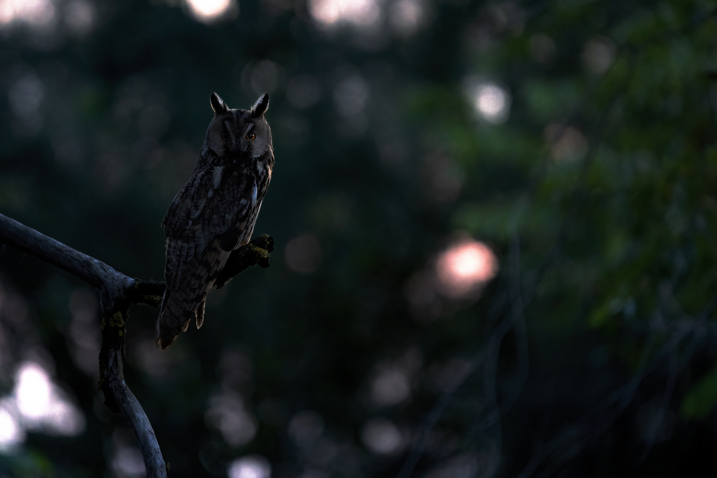 When the light fades...