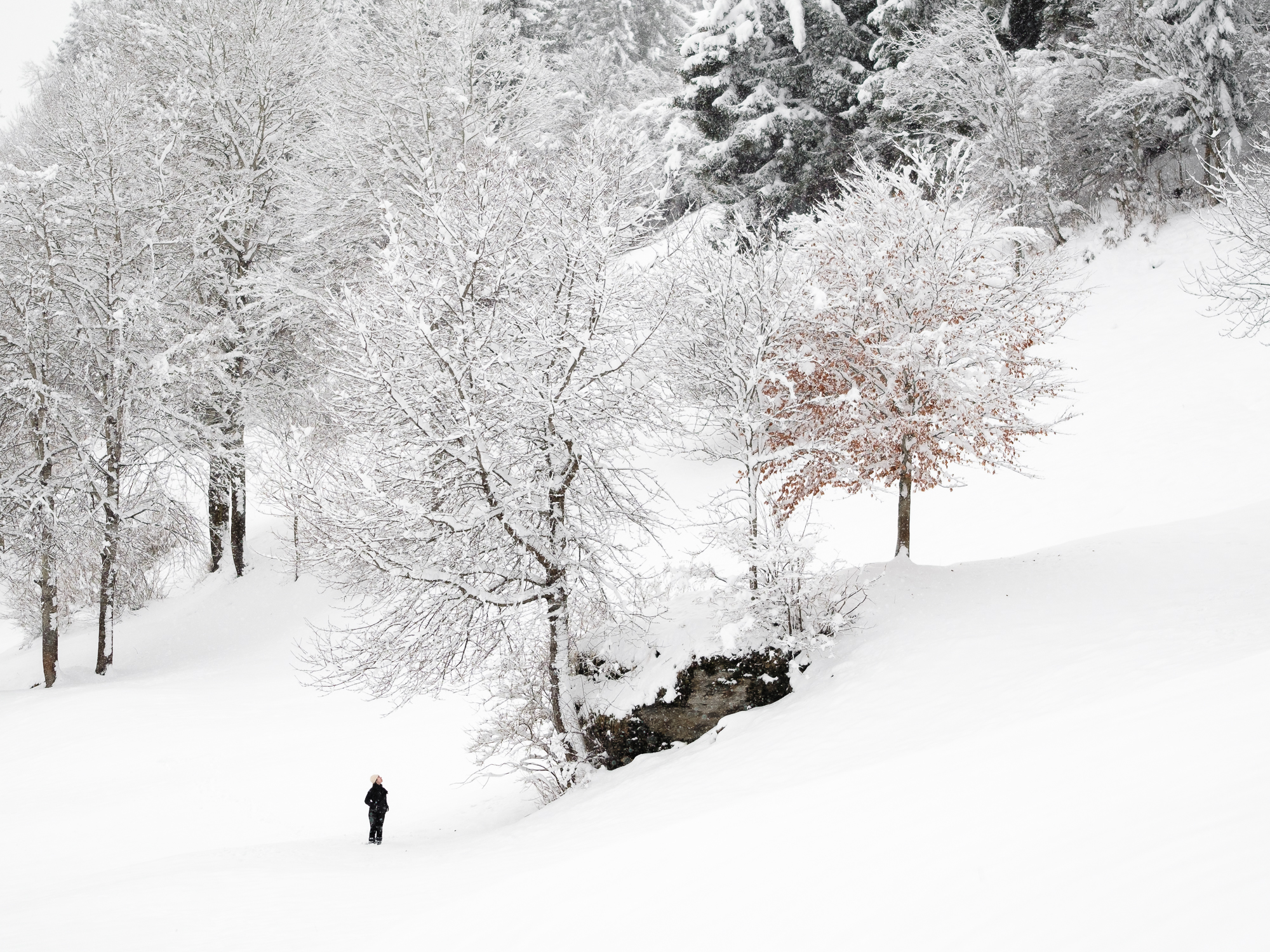 Sweet winter 2° vers.