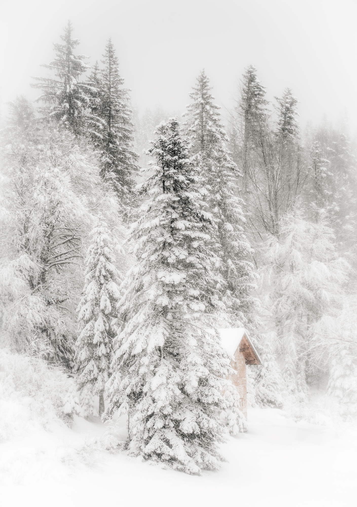 Winter Scenery