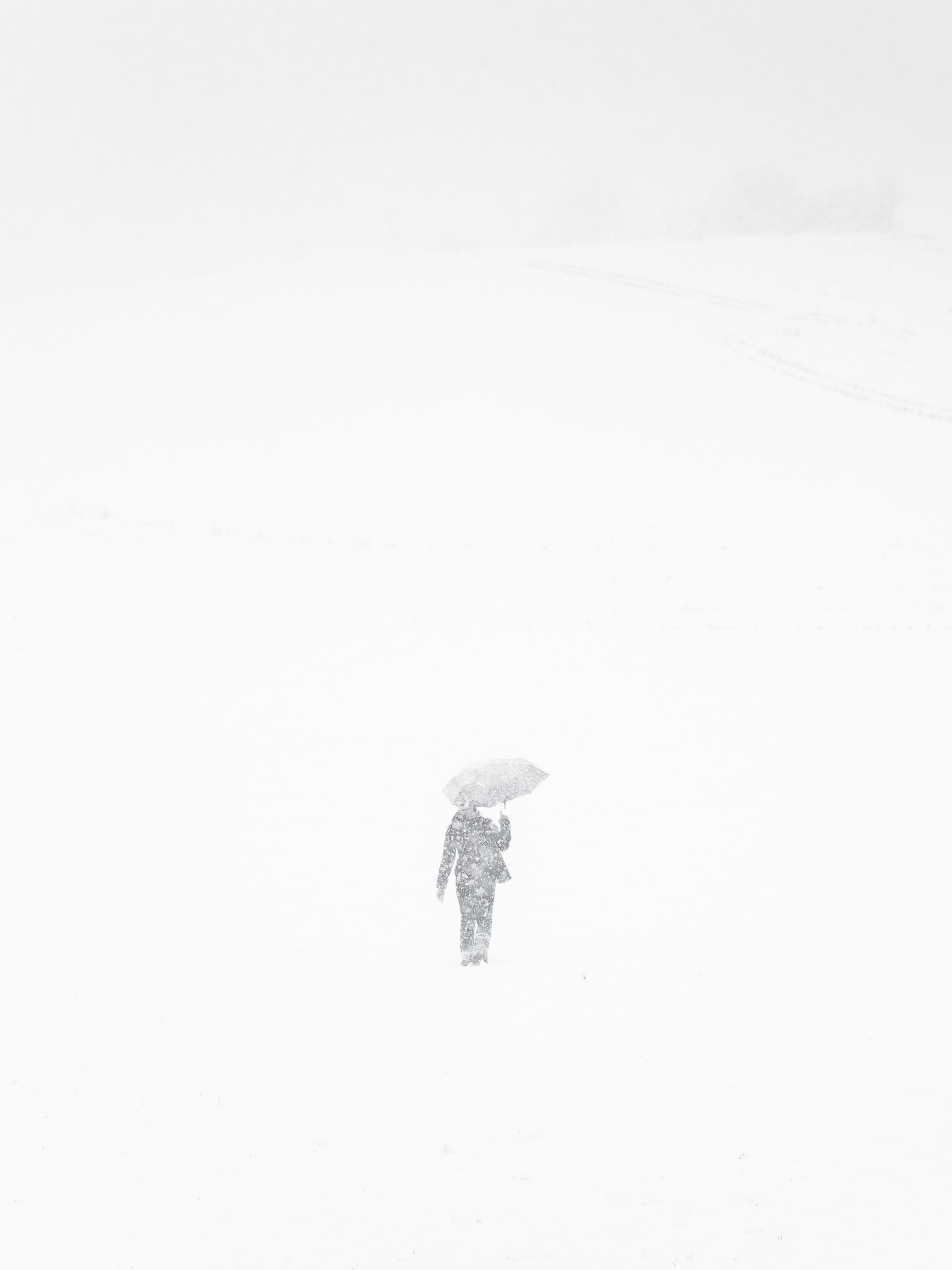 Winter whiteness - Absolute blizzard