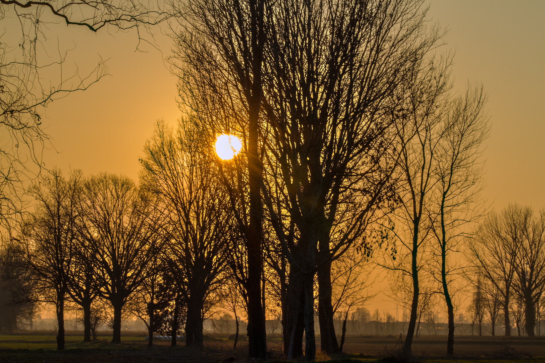 In the background, the city