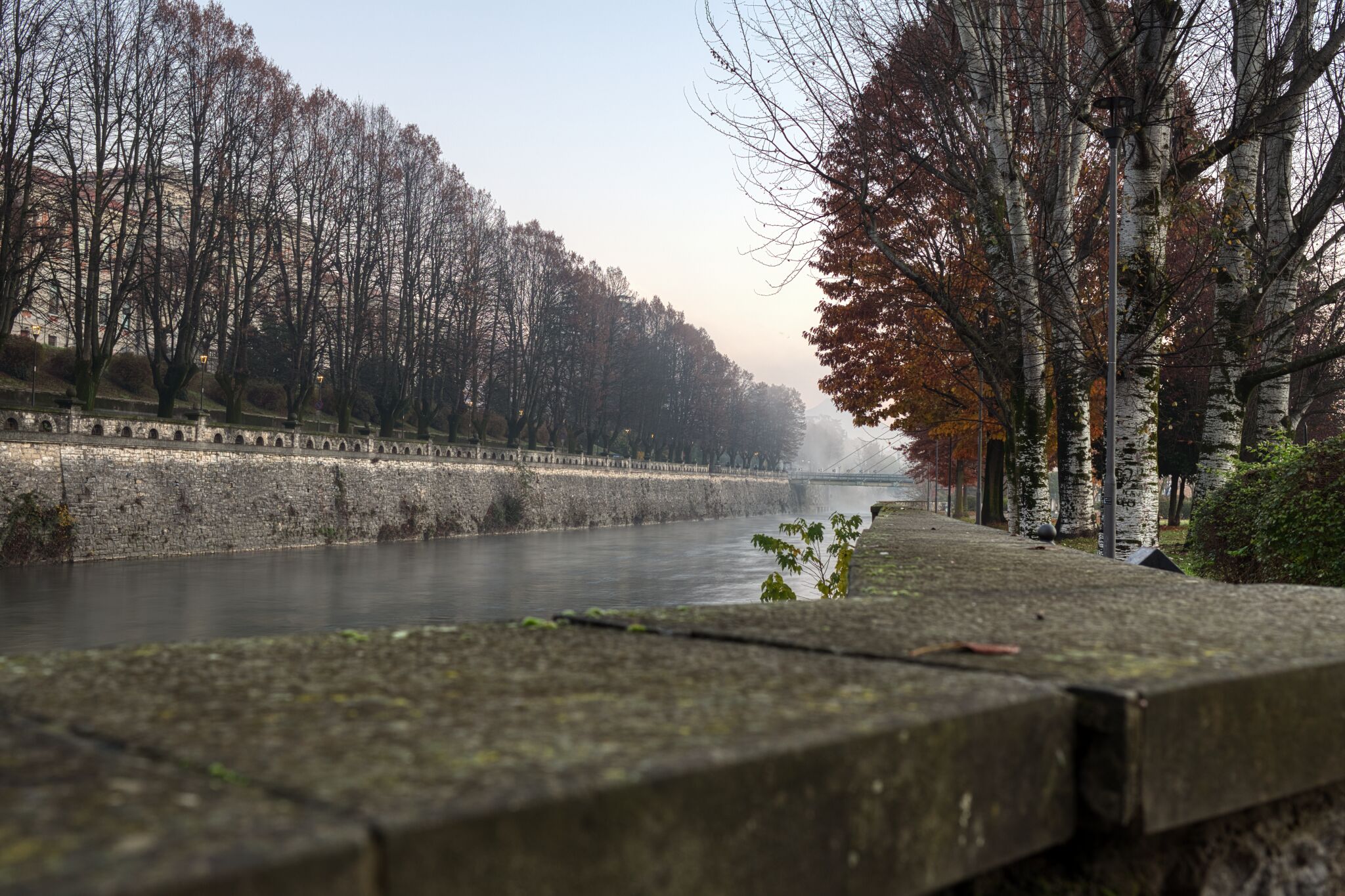 PalazzoloS/O-181121-073726