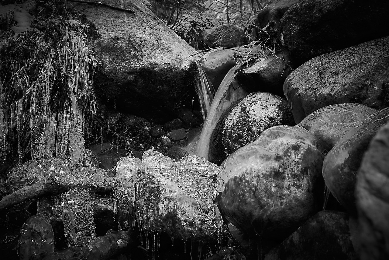 Along the trail... A stream