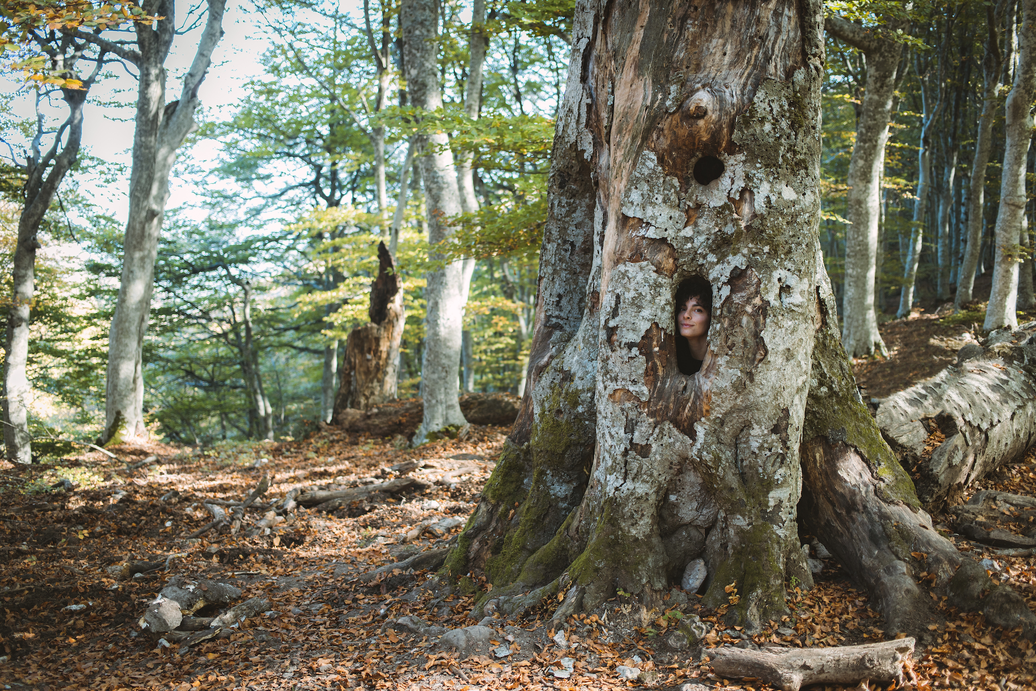 Hide-and-seek at Canfaito