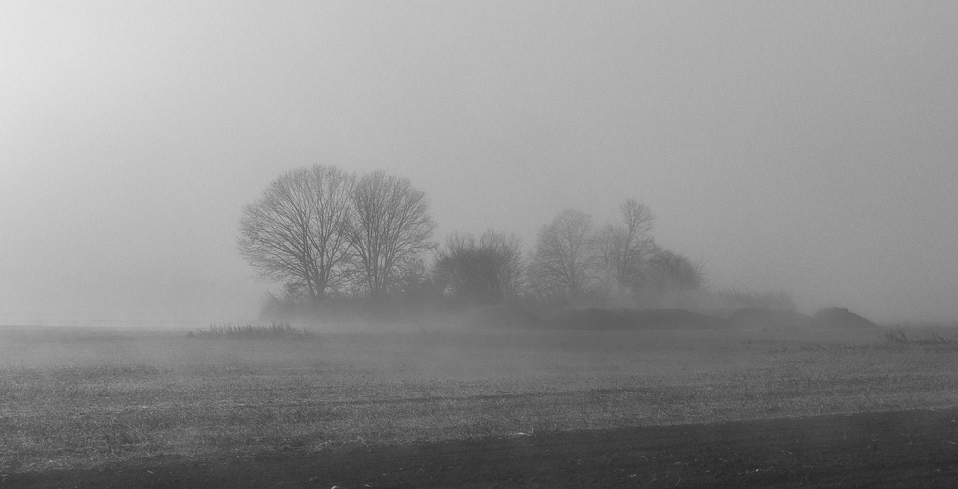"nebbia agli irti colli..."