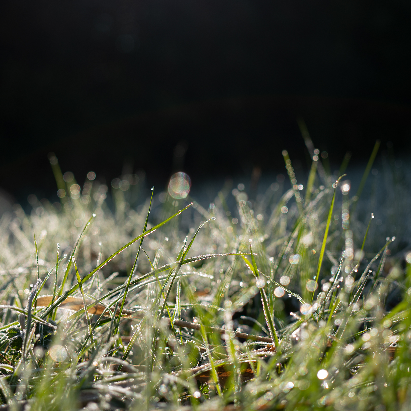 Untitled Photo