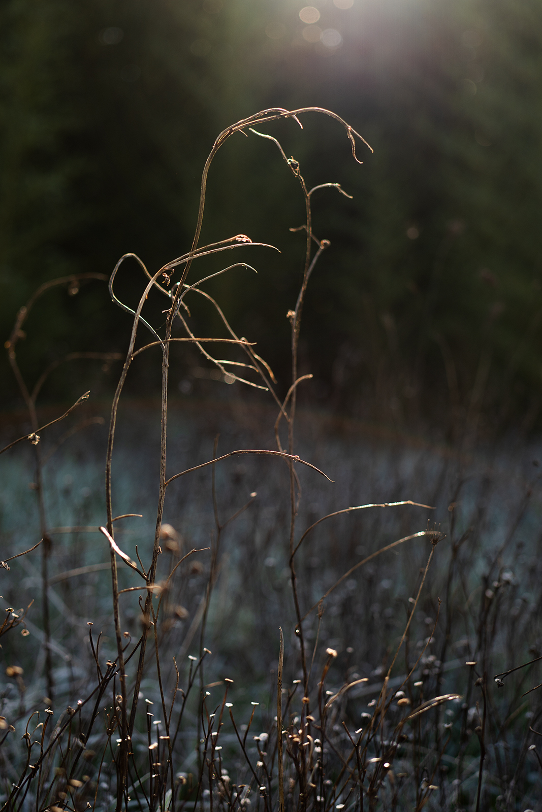 Untitled Photo