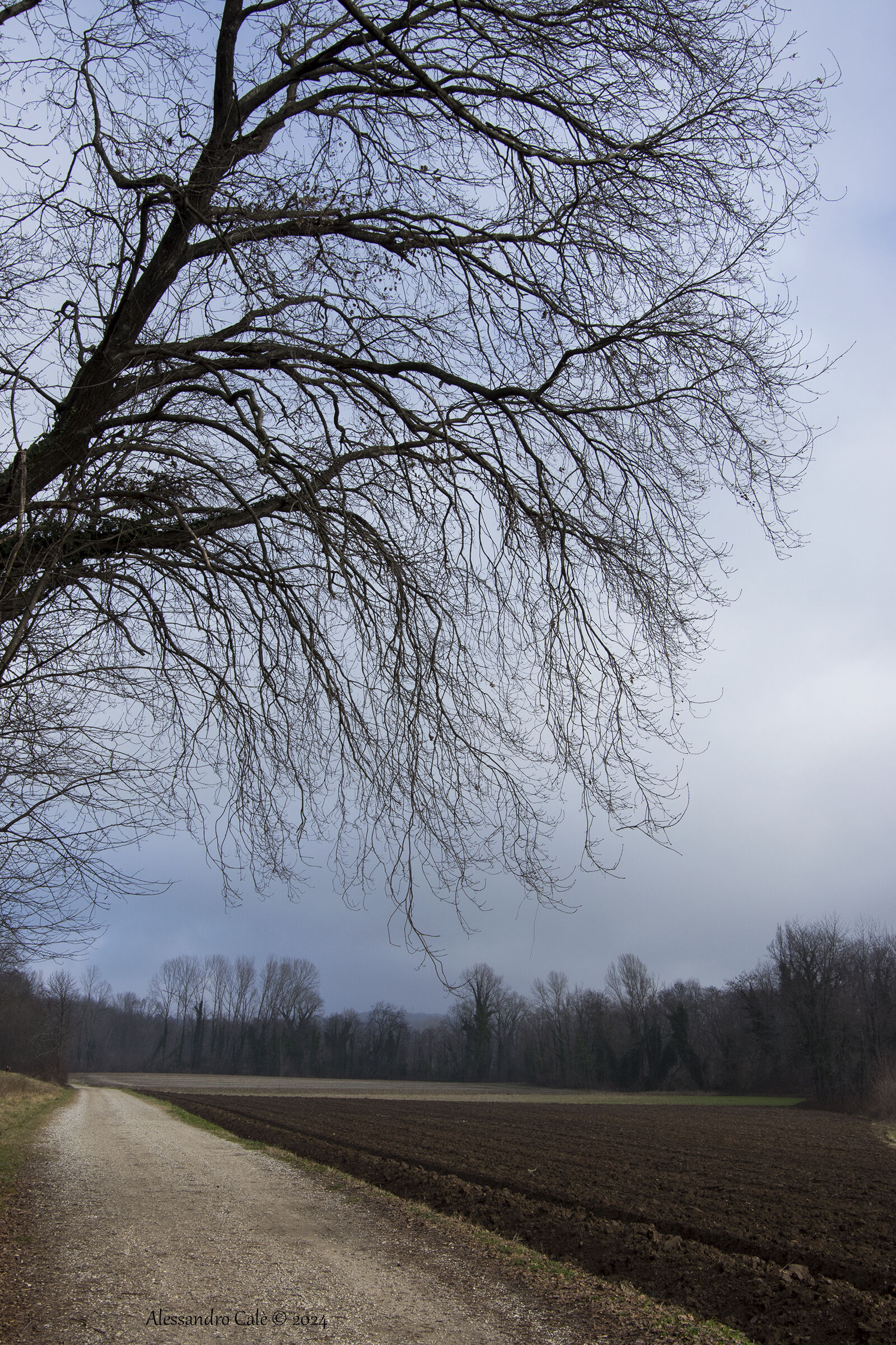 A walk around Lake 4074