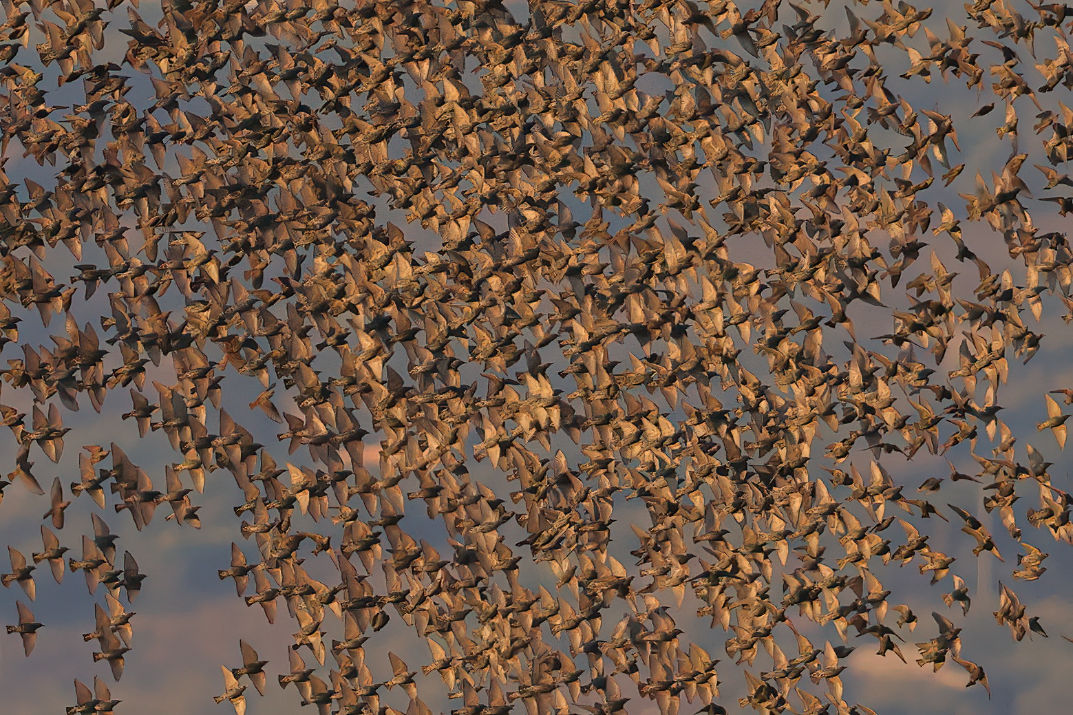 Ultimi bagliori del crepuscolo