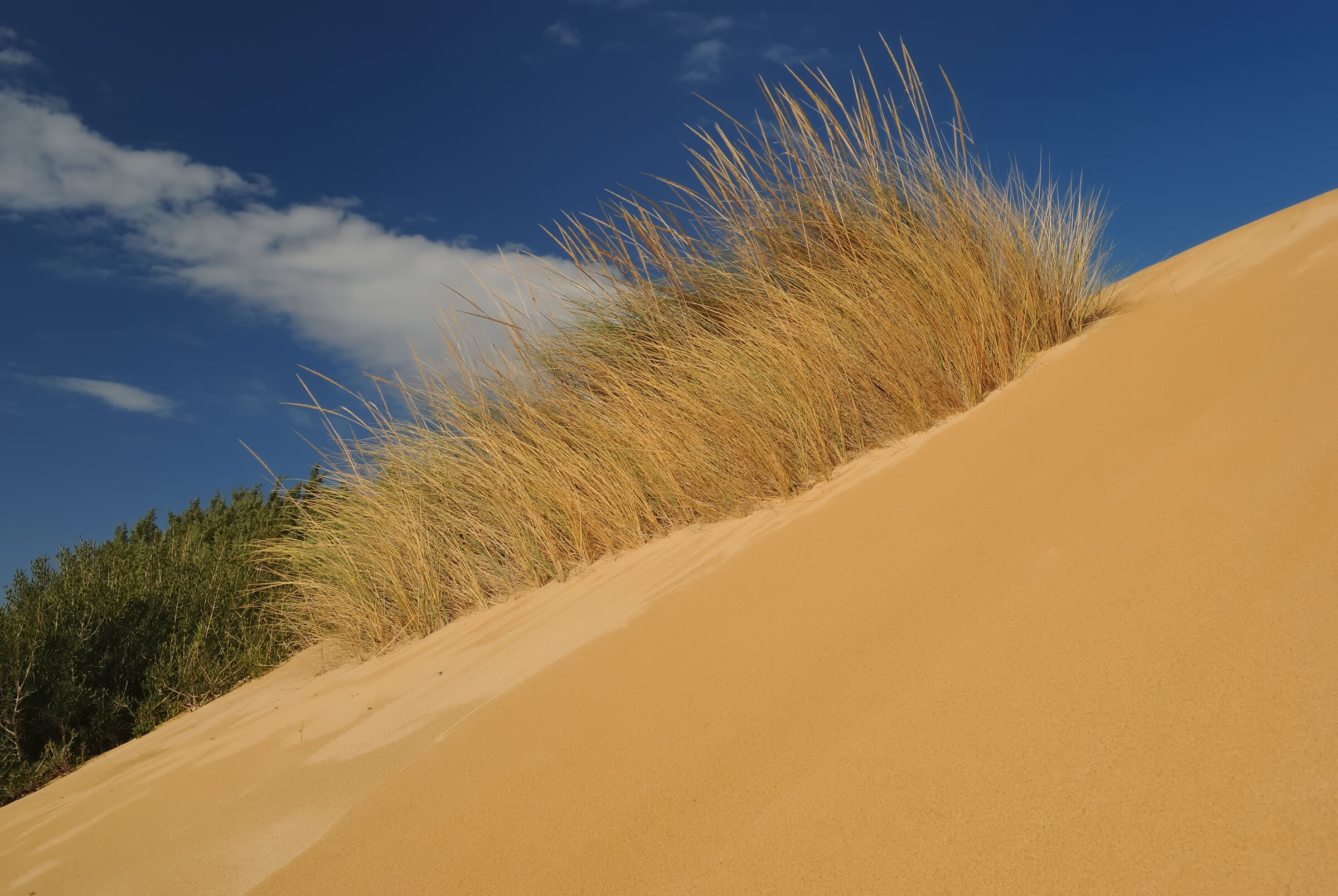Dune di Piscinas Arbus 1