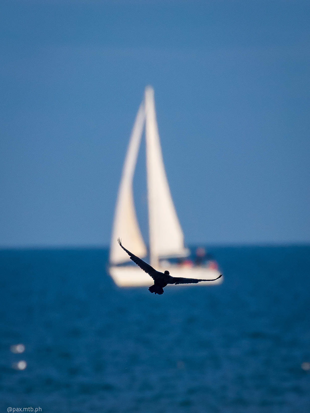 Particular Backgrounds