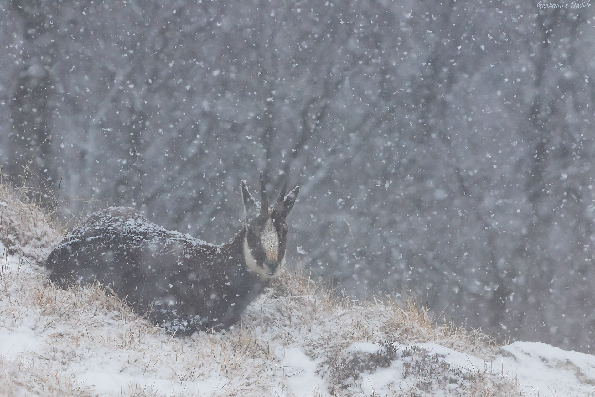 ...Giornata estiva...