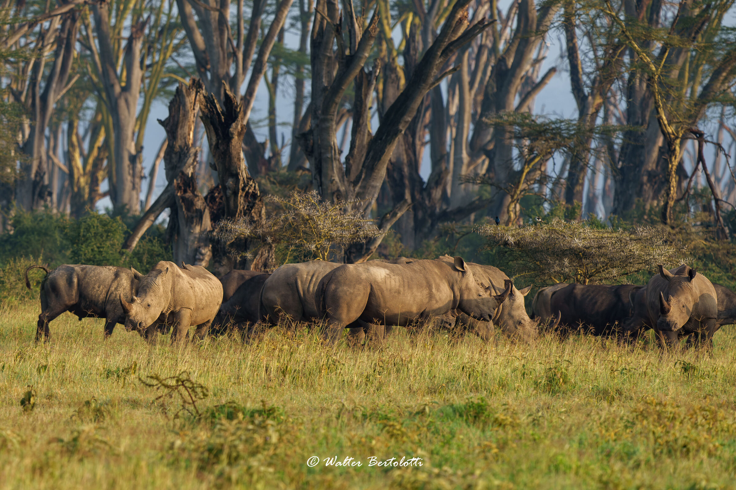la banda al completo