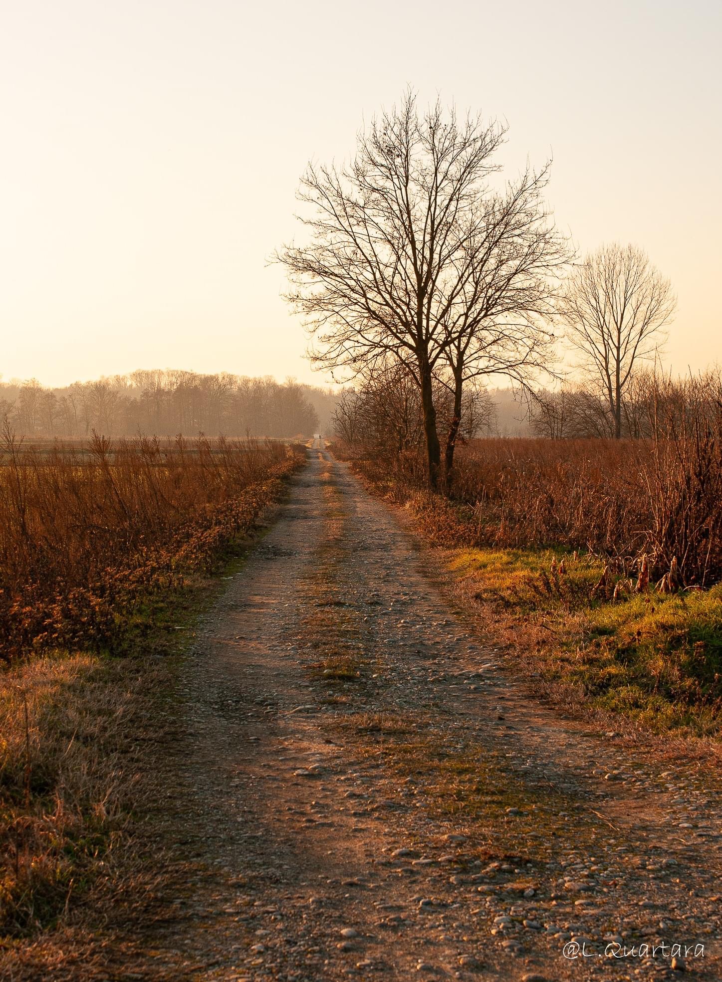Walk in the countryside