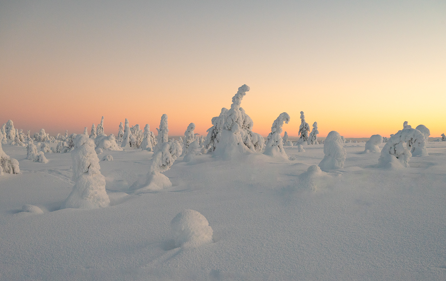 Mentre sorge il sole