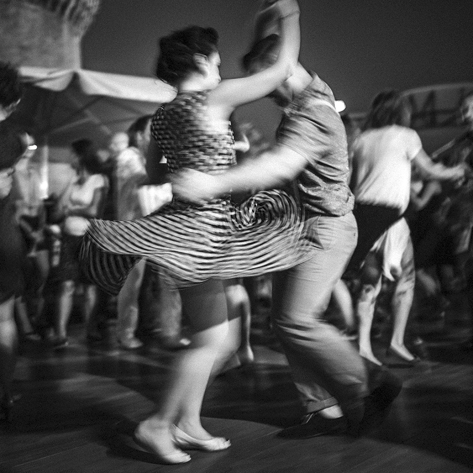 Summer Jamboree - Senigallia (AN)