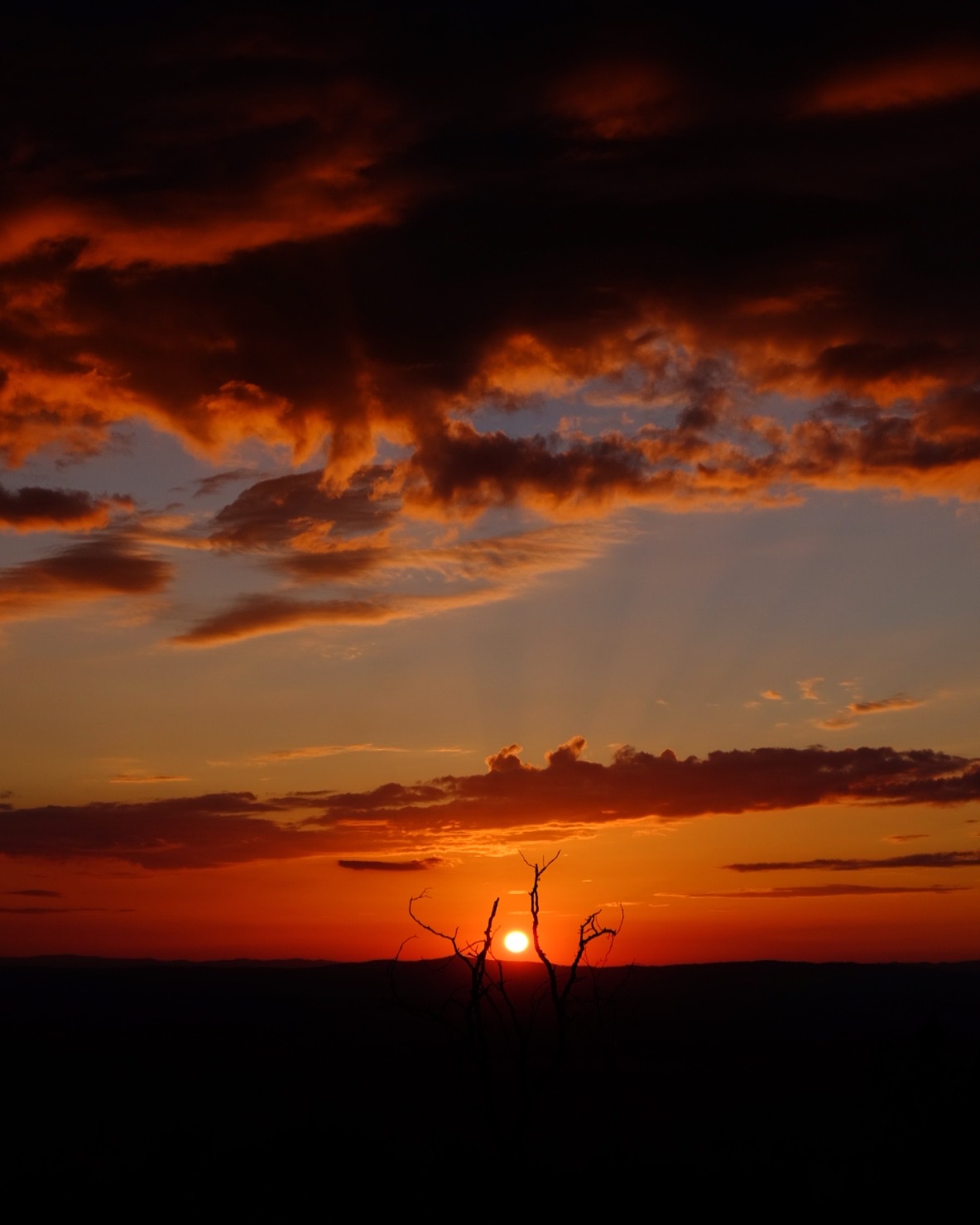 Hug to the Sun (Cortona)