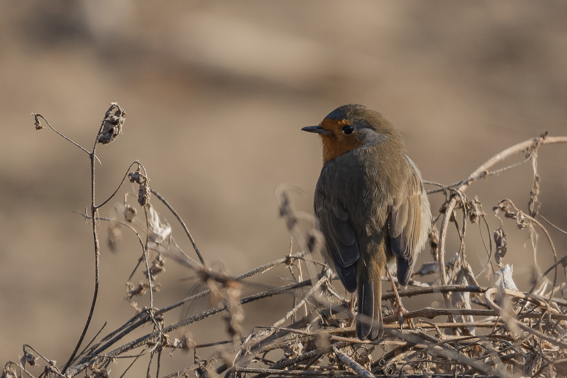 Am I okay with that?