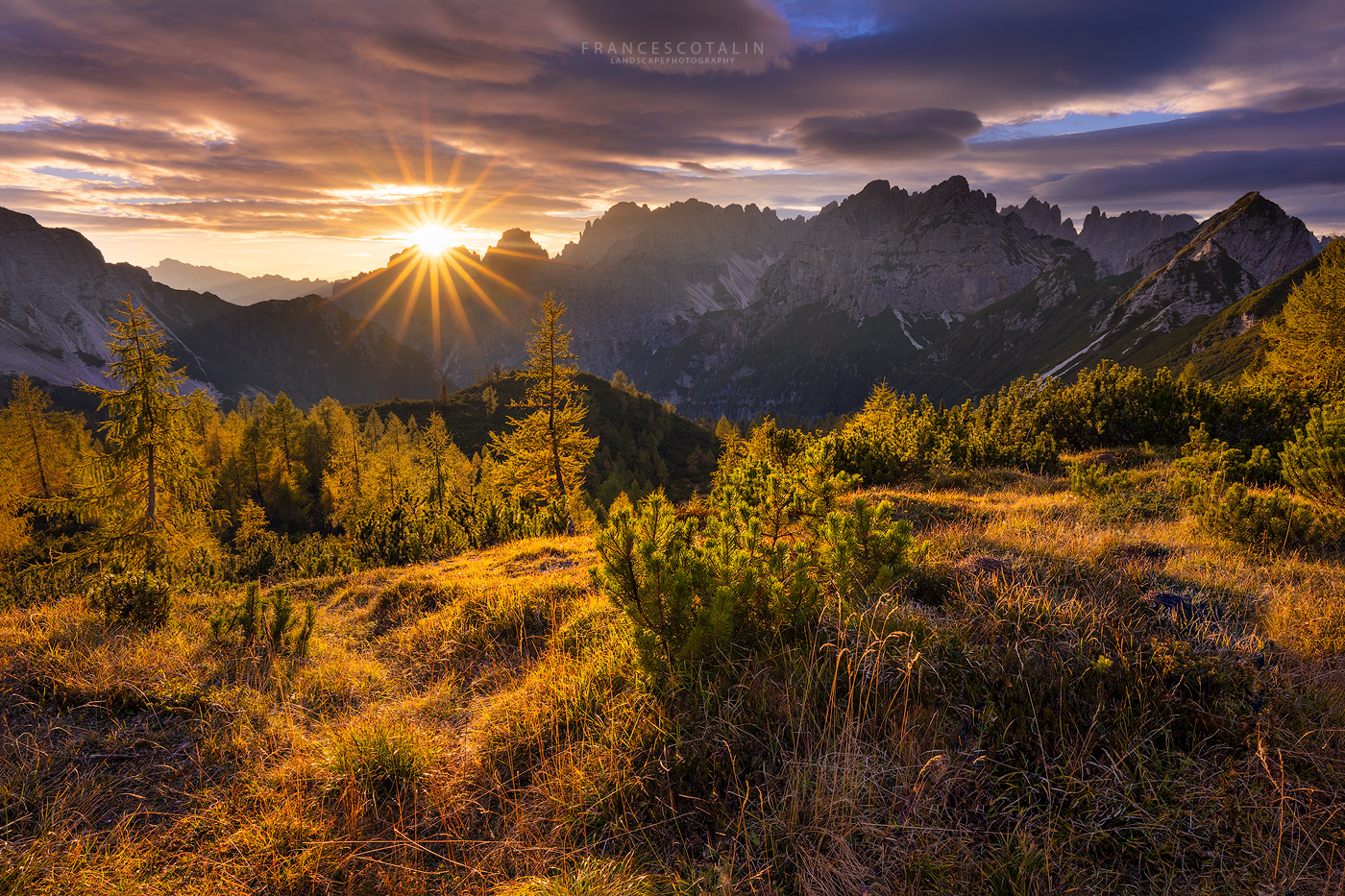 The Enchanted Garden