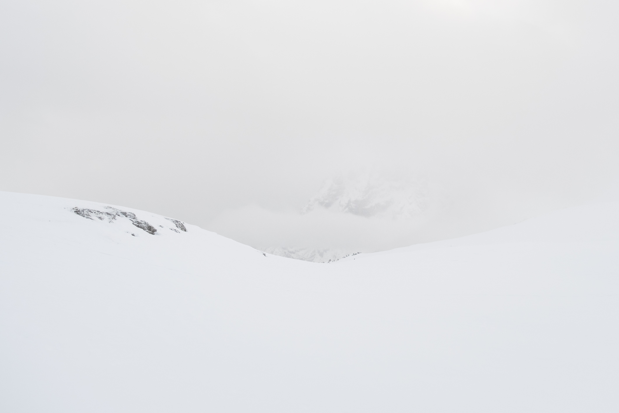 Hide and Seek 2° vers.