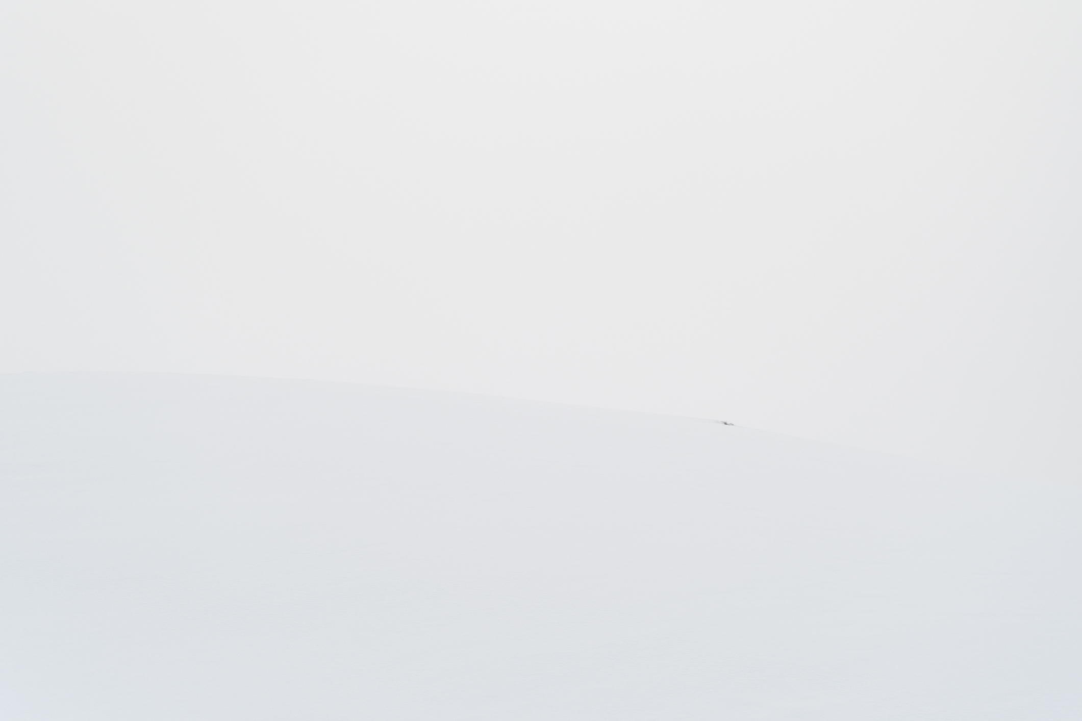 Hide and Seek 3° vers.