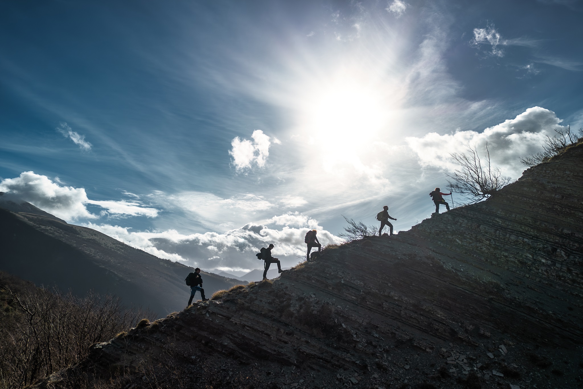 Step by step to the top