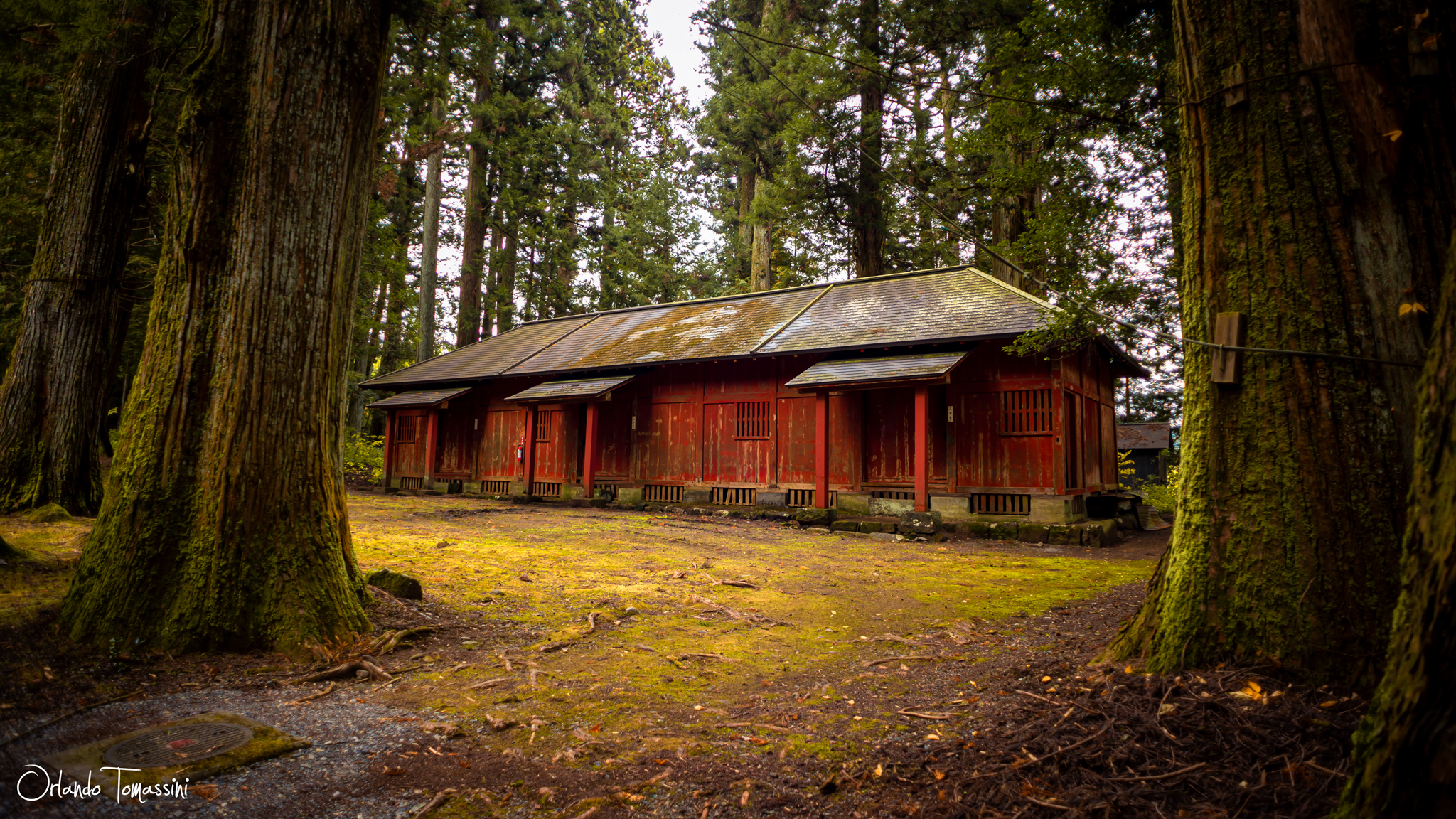Vecchia costruzione nel bosco di Nikko