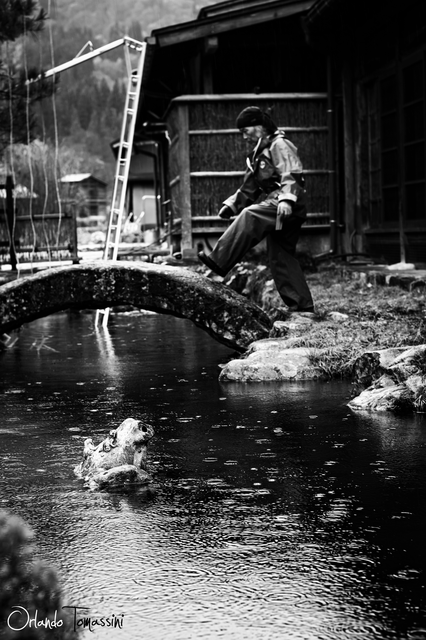 Il custode del ponte