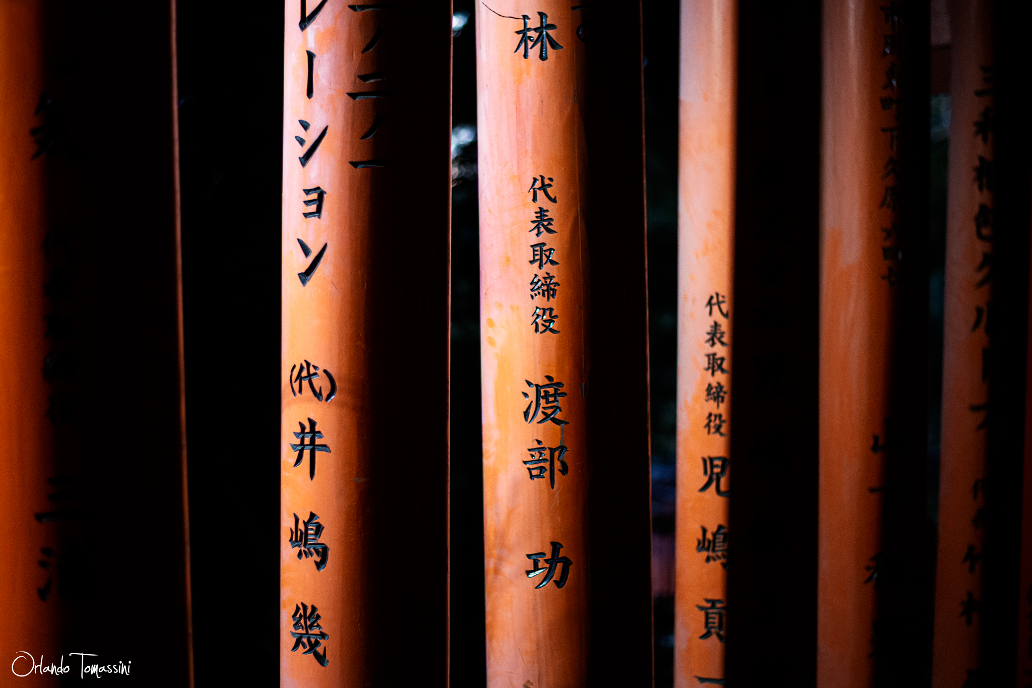 Torii