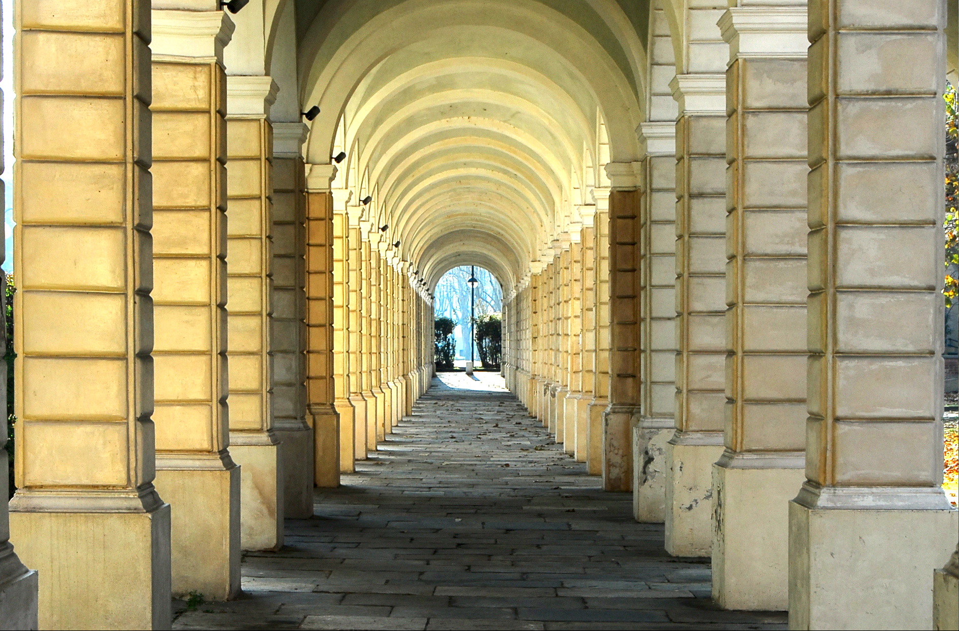 Nella Certosa di Collegno
