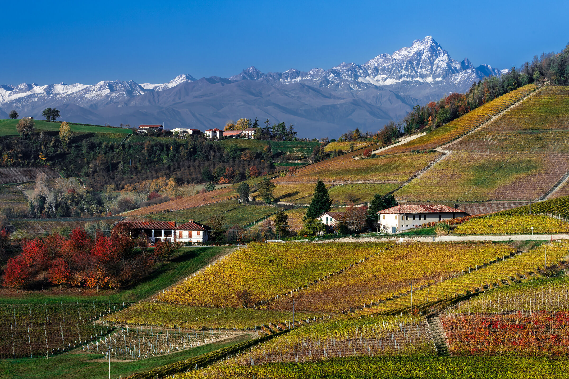 Il Monviso tra le Langhe