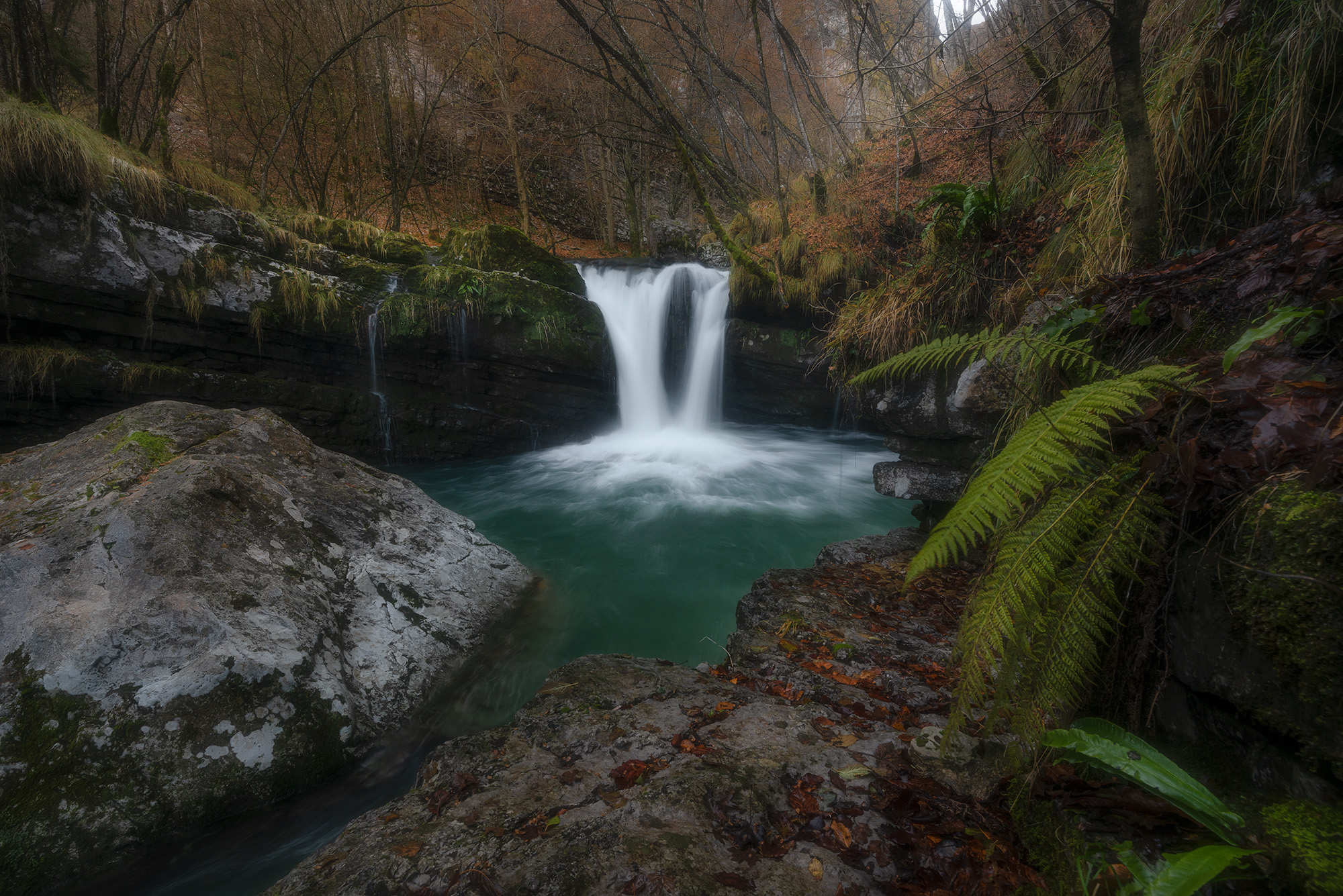Ultimi colori di autunno