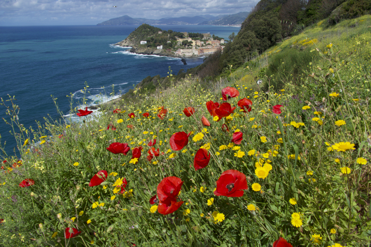 Sestri Levante end of April